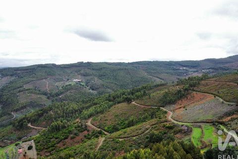 Byhus i Oleiros, Castelo Branco, Oleiros - € 50.000 | Ref: 943434 - foto 11