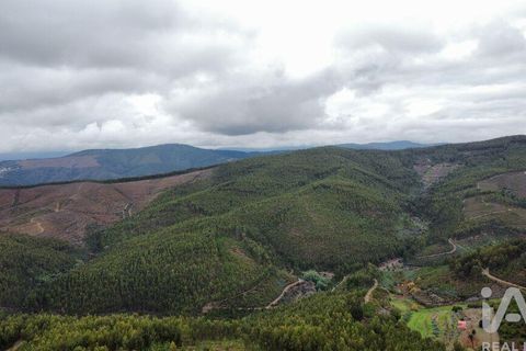 Byhus i Oleiros, Castelo Branco, Oleiros - € 50.000 | Ref: 943434 - foto 12