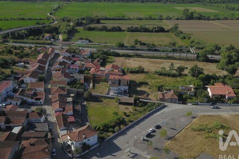 Helårsgrund i Coimbra, Coimbra, Coimbra - € 21.000 | Ref: 949454 - foto 6