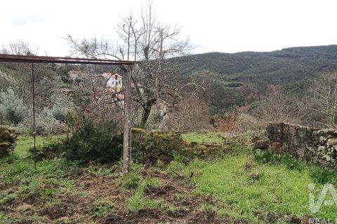 Byhus i Gois, Coimbra, Gois - € 41.000 | Ref: 947621 - foto 24