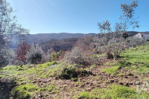 Byhus i Gois, Coimbra, Gois - € 41.000 | Ref: 947621 - foto 34