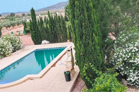 Villa i Pinoso, Alicante, Pinoso - € 375.000 | Ref: CSPX-85269 - foto 14