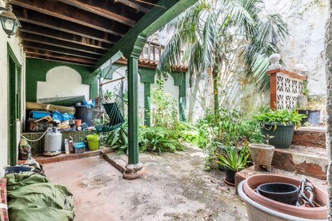 Villa a La Orotava, Tenerife, La Orotava - € 550.000 | Ref: 0067-04646/2961 - foto 15