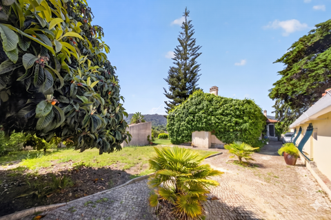 Villa i Sintra, Lisbon, Sintra - € 1.150.000 | Ref: TAPT01-1819_MM - foto 41