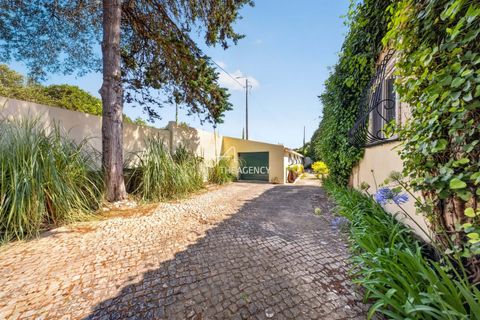Villa i Sintra, Lisbon, Sintra - € 1.150.000 | Ref: TAPT01-1819_MM - foto 45