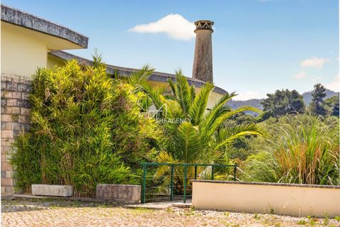 Villa i Sintra, Lisbon, Sintra - € 1.150.000 | Ref: TAPT01-1819_MM - foto 50