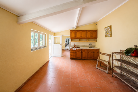 Villa i Sintra, Lisbon, Sintra - € 1.150.000 | Ref: TAPT01-1819_MM - foto 44