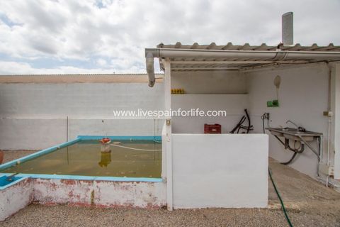 Farm i Albatera, Alicante, Albatera - € 320.000 | Ref: ALBA MBMeqx-D - foto 32