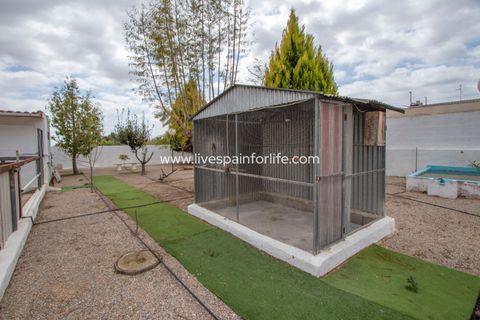 Farm i Albatera, Alicante, Albatera - € 320.000 | Ref: ALBA MBMeqx-D - foto 33