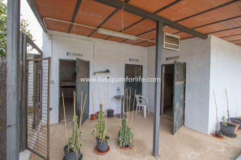 Farm i Albatera, Alicante, Albatera - € 320.000 | Ref: ALBA MBMeqx-D - foto 39