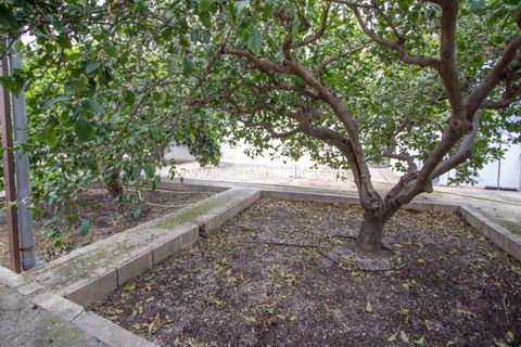 Farm i Albatera, Alicante, Albatera - € 320.000 | Ref: ALBA MBMeqx-D - foto 40