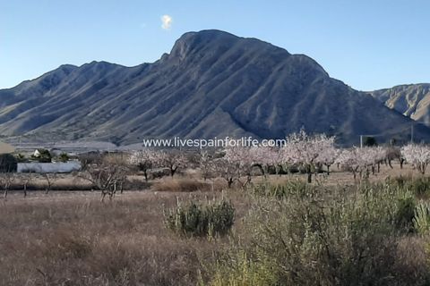 Landejendom i Barbarroja, Alicante, Barbarroja - € 850.000 | Ref: Barb JPT -D - foto 11