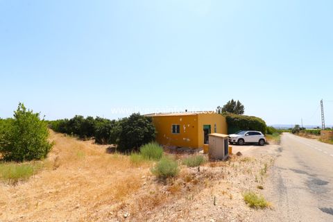 Landejendom i Albatera, Alicante, Albatera - € 175.000 | Ref: ALBA ROS - foto 2