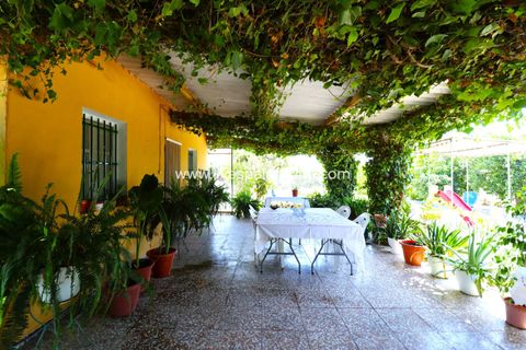 Landejendom i Albatera, Alicante, Albatera - € 175.000 | Ref: ALBA ROS - foto 3