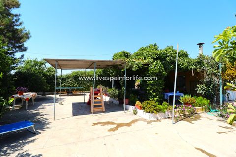 Landejendom i Albatera, Alicante, Albatera - € 175.000 | Ref: ALBA ROS - foto 6
