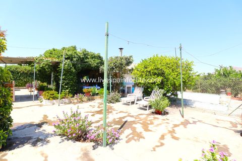 Landejendom i Albatera, Alicante, Albatera - € 175.000 | Ref: ALBA ROS - foto 7