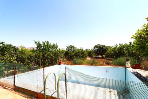 Landejendom i Albatera, Alicante, Albatera - € 175.000 | Ref: ALBA ROS - foto 9
