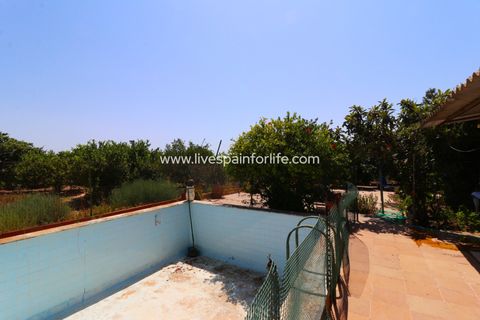 Landejendom i Albatera, Alicante, Albatera - € 175.000 | Ref: ALBA ROS - foto 10
