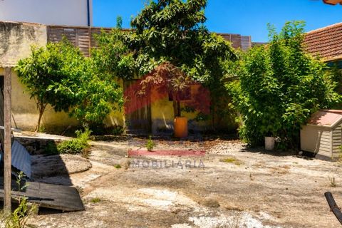 Villa a Bombarral, Leiria, Bombarral - € 280.000 | Ref: 130260135 - foto 14