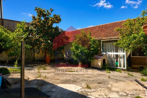 Villa a Bombarral, Leiria, Bombarral - € 280.000 | Ref: 130260135 - foto 15