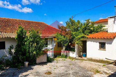 Villa a Bombarral, Leiria, Bombarral - € 280.000 | Ref: 130260135 - foto 16