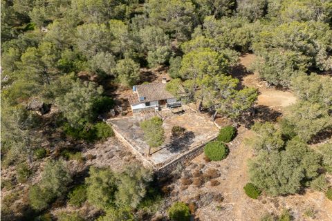 Landejendom i Algaida, Mallorca, Algaida - € 5.900.000 | Ref: 7820 - foto 18