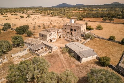 Landejendom i Algaida, Mallorca, Algaida - € 5.900.000 | Ref: 7820 - foto 16