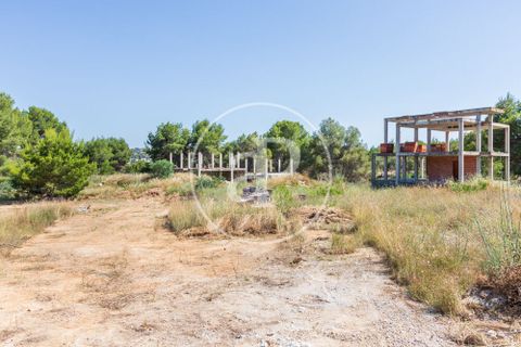 Tomt i Chiva, Valencia, Chiva - € 990 000 | Ref: VV2606030 - foto 3