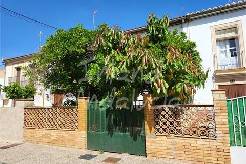 Byhus i Bobadilla, Malaga, Bobadilla - € 84.950 | Ref: TH6368 - foto 12