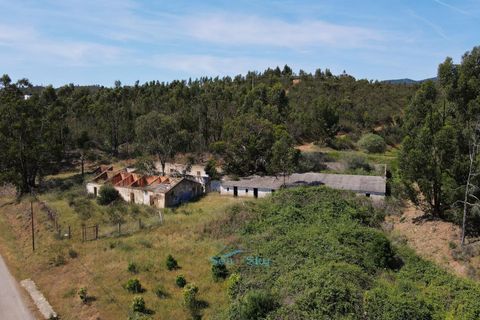 Terra a Marmelete, Faro, Marmelete - € 295.000 | Ref: 2729-51 - foto 5