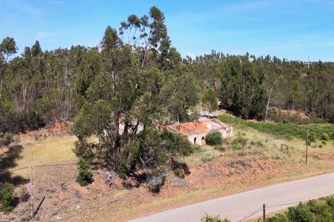 Terra a Marmelete, Faro, Marmelete - € 295.000 | Ref: 2729-51 - foto 9
