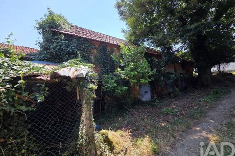 Byhus i Santa Comba Dao, Viseu, Santa Comba Dao - € 120.000 | Ref: 946181 - foto 35