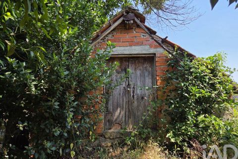 Byhus i Santa Comba Dao, Viseu, Santa Comba Dao - € 120.000 | Ref: 946181 - foto 37