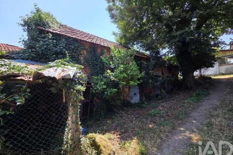 Byhus i Santa Comba Dao, Viseu, Santa Comba Dao - € 120.000 | Ref: 946181 - foto 38
