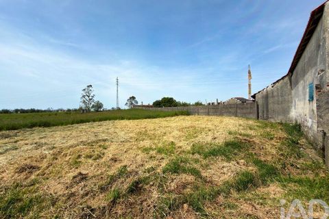 Rækkehus i Leiria, Leiria, Leiria - € 380.000 | Ref: 948421 - foto 10