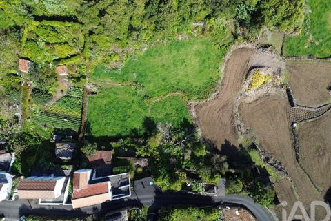 Byhus i Lajes do Pico, Pico, Lajes do Pico - € 90.000 | Ref: 859916 - foto 13