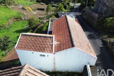 Byhus i Lajes do Pico, Pico, Lajes do Pico - € 90.000 | Ref: 859916 - foto 15