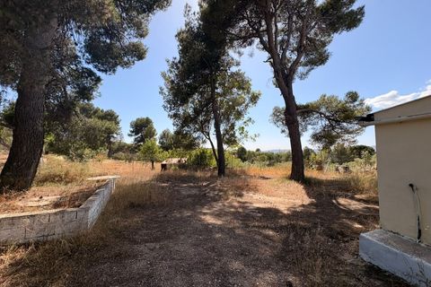 Landejendom i Biar, Alicante, Biar - € 136.000 | Ref: JJAD7263 - foto 9