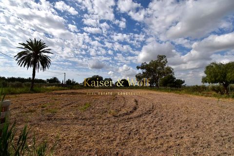 Landejendom i Elche, Alicante, Elche - € 269.000 | Ref: JD284 - foto 26