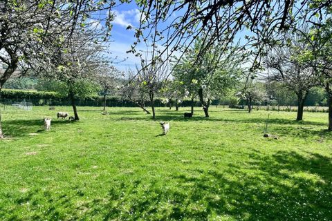 Villa a Champ-du-Boult, Calvados, Champ-du-Boult - € 299.000 | Ref: 9796A - foto 4