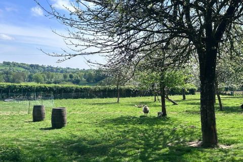 Villa a Champ-du-Boult, Calvados, Champ-du-Boult - € 299.000 | Ref: 9796A - foto 21