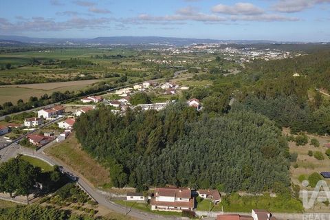 Helårsgrund i Coimbra, Coimbra, Coimbra - € 21.000 | Ref: 950283 - foto 5