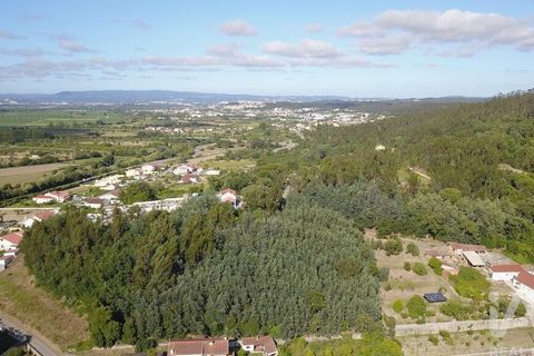 Helårsgrund i Coimbra, Coimbra, Coimbra - € 21.000 | Ref: 950283 - foto 8