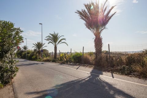 Bungalou a Torrevieja, Alicante, Torrevieja - € 159.000 | Ref: 13180 - foto 4