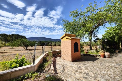 Villa a Alcoy, Alicante, Alcoy - € 430.000 | Ref: 20236/12462 - foto 35
