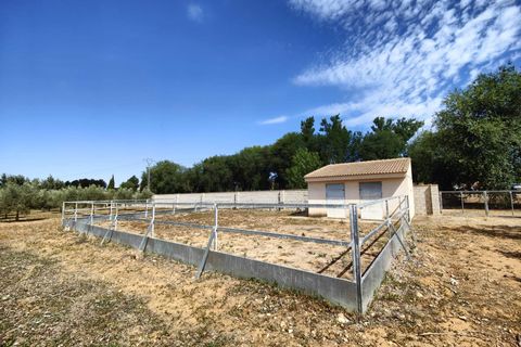 Villa a Alcoy, Alicante, Alcoy - € 430.000 | Ref: 20236/12462 - foto 36