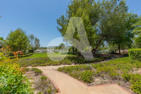 Lejlighed i Orihuela, Alicante, Orihuela - € 235.000 | Ref: AG19MLSC6012336 - foto 35