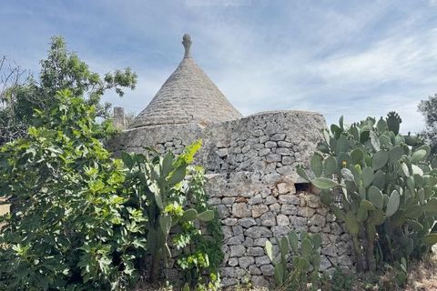 Terra a Carovigno, Brindisi, Carovigno - € 75.000 | Ref: tr6 - foto 12
