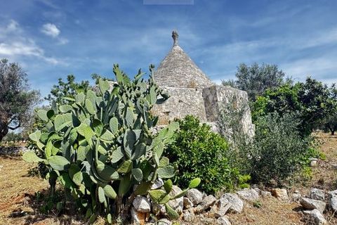 Terra a Carovigno, Brindisi, Carovigno - € 75.000 | Ref: tr6 - foto 10