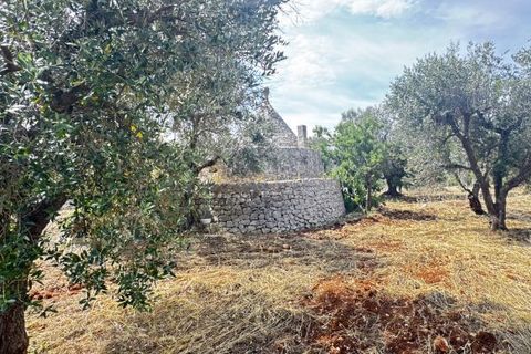 Terra a Carovigno, Brindisi, Carovigno - € 75.000 | Ref: tr6 - foto 17
